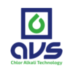 AVS Technology